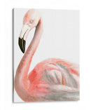 Acuarela Flamenco - Naomi McCavitt | Cuadro decorativo de Canvas Lab