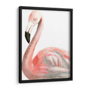 Acuarela Flamenco - Naomi McCavitt | Cuadro decorativo de Canvas Lab