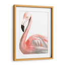 Acuarela Flamenco - Naomi McCavitt | Cuadro decorativo de Canvas Lab