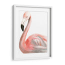 Acuarela Flamenco - Naomi McCavitt | Cuadro decorativo de Canvas Lab