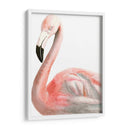 Acuarela Flamenco - Naomi McCavitt | Cuadro decorativo de Canvas Lab