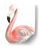 Acuarela Flamenco - Naomi McCavitt | Cuadro decorativo de Canvas Lab
