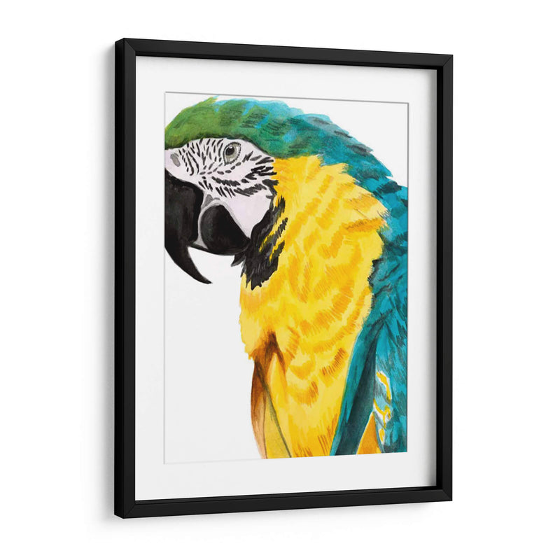 Loro Acuarela - Naomi McCavitt | Cuadro decorativo de Canvas Lab