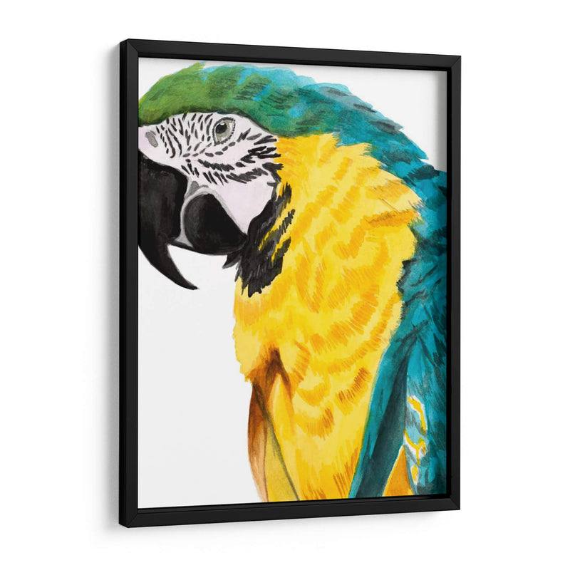 Loro Acuarela - Naomi McCavitt | Cuadro decorativo de Canvas Lab