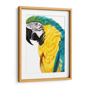 Loro Acuarela - Naomi McCavitt | Cuadro decorativo de Canvas Lab