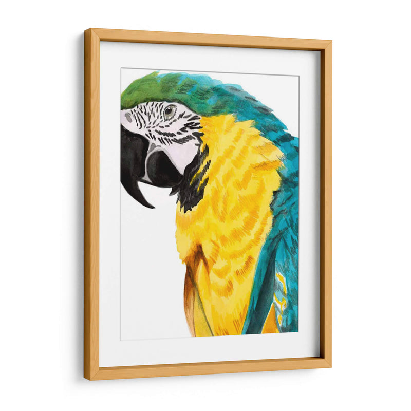 Loro Acuarela - Naomi McCavitt | Cuadro decorativo de Canvas Lab