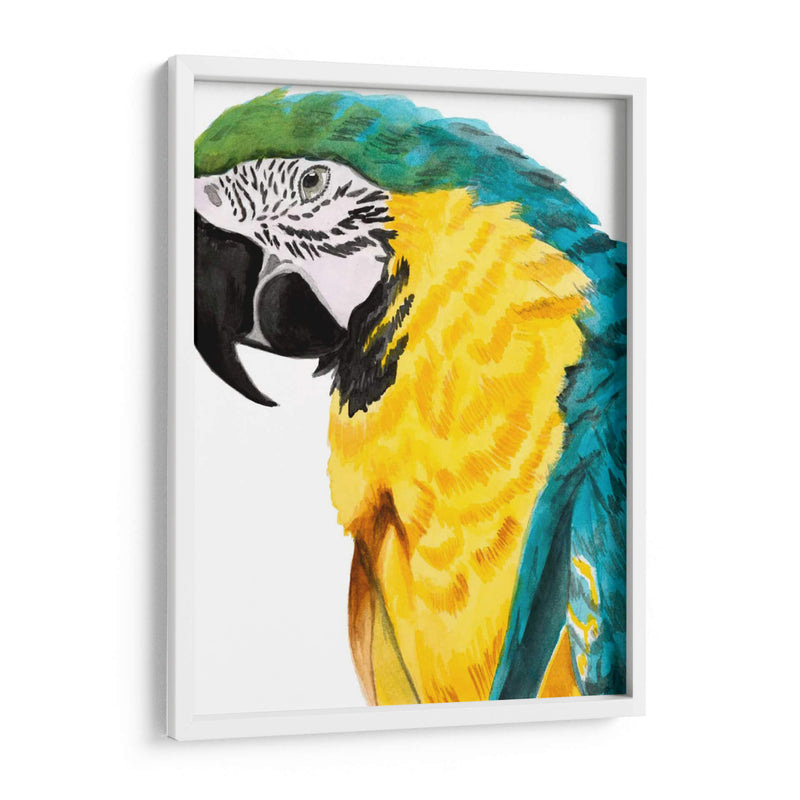Loro Acuarela - Naomi McCavitt | Cuadro decorativo de Canvas Lab