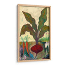 Veggie Garden Ii - Mehmet Altug | Cuadro decorativo de Canvas Lab