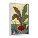 Veggie Garden Ii - Mehmet Altug | Cuadro decorativo de Canvas Lab