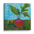 Veggie Garden Iii - Mehmet Altug | Cuadro decorativo de Canvas Lab