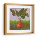 Veggie Garden Iv - Mehmet Altug | Cuadro decorativo de Canvas Lab
