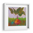 Veggie Garden Iv - Mehmet Altug | Cuadro decorativo de Canvas Lab