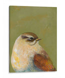 Retrato De Pájaro I - Mehmet Altug | Cuadro decorativo de Canvas Lab