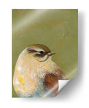 Retrato De Pájaro I - Mehmet Altug | Cuadro decorativo de Canvas Lab