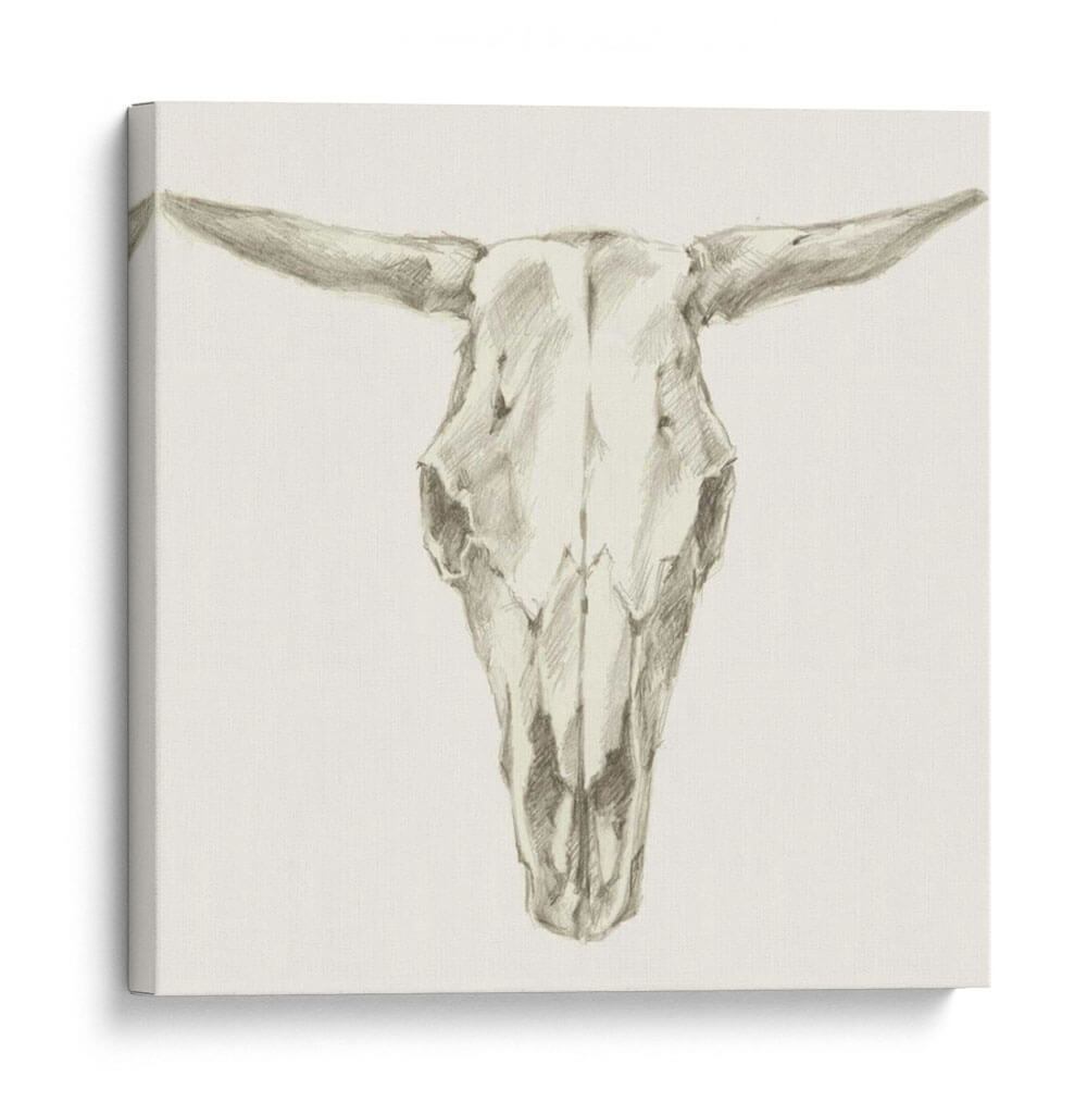 Soporte De Calavera Occidental Ii - Ethan Harper | Cuadro decorativo de Canvas Lab