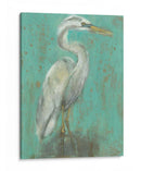 Seaspray Heron I - Jennifer Goldberger | Cuadro decorativo de Canvas Lab