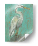 Seaspray Heron I - Jennifer Goldberger | Cuadro decorativo de Canvas Lab