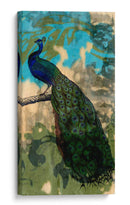 Peacock Rústico Ii - Jennifer Goldberger | Cuadro decorativo de Canvas Lab
