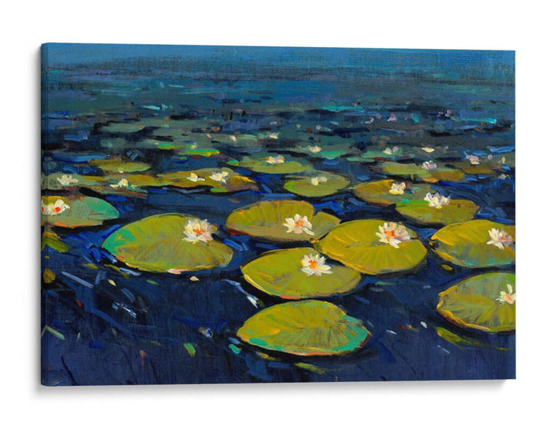 Lily Pads I - Tim OToole | Cuadro decorativo de Canvas Lab