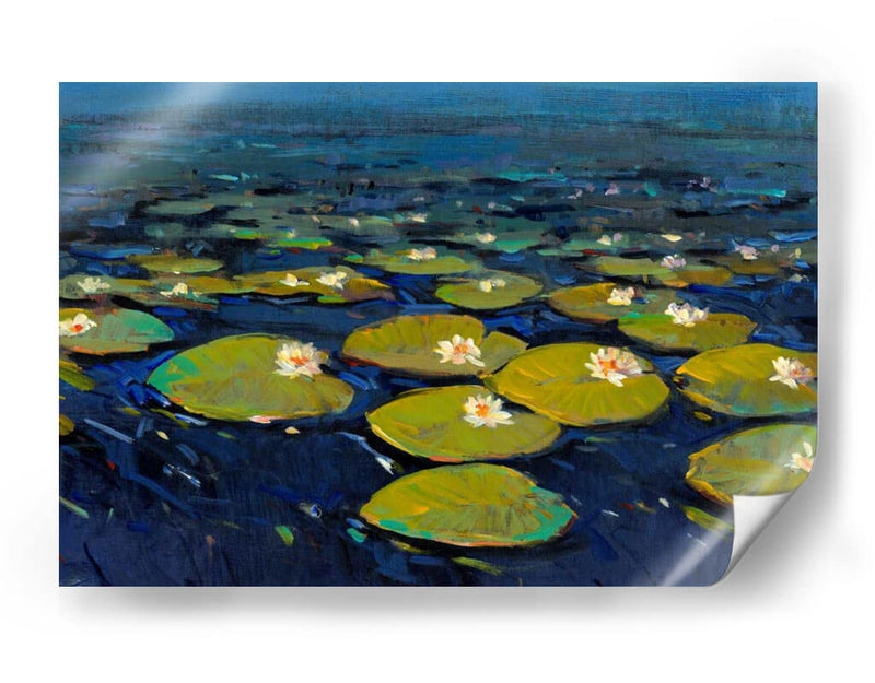 Lily Pads I - Tim OToole | Cuadro decorativo de Canvas Lab