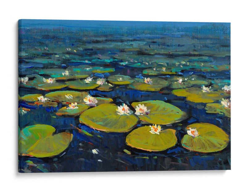 Lily Pads Ii - Tim OToole | Cuadro decorativo de Canvas Lab