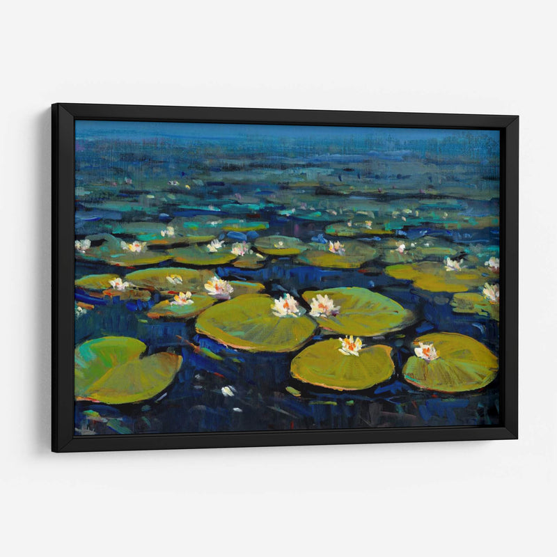 Lily Pads Ii - Tim OToole | Cuadro decorativo de Canvas Lab