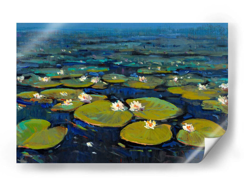 Lily Pads Ii - Tim OToole | Cuadro decorativo de Canvas Lab