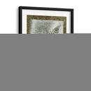 Sombras Y Helechos I - Renee W. Stramel | Cuadro decorativo de Canvas Lab