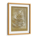 Sombras Y Fernos Iii - Renee W. Stramel | Cuadro decorativo de Canvas Lab