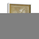 Sombras Y Fernos Iii - Renee W. Stramel | Cuadro decorativo de Canvas Lab