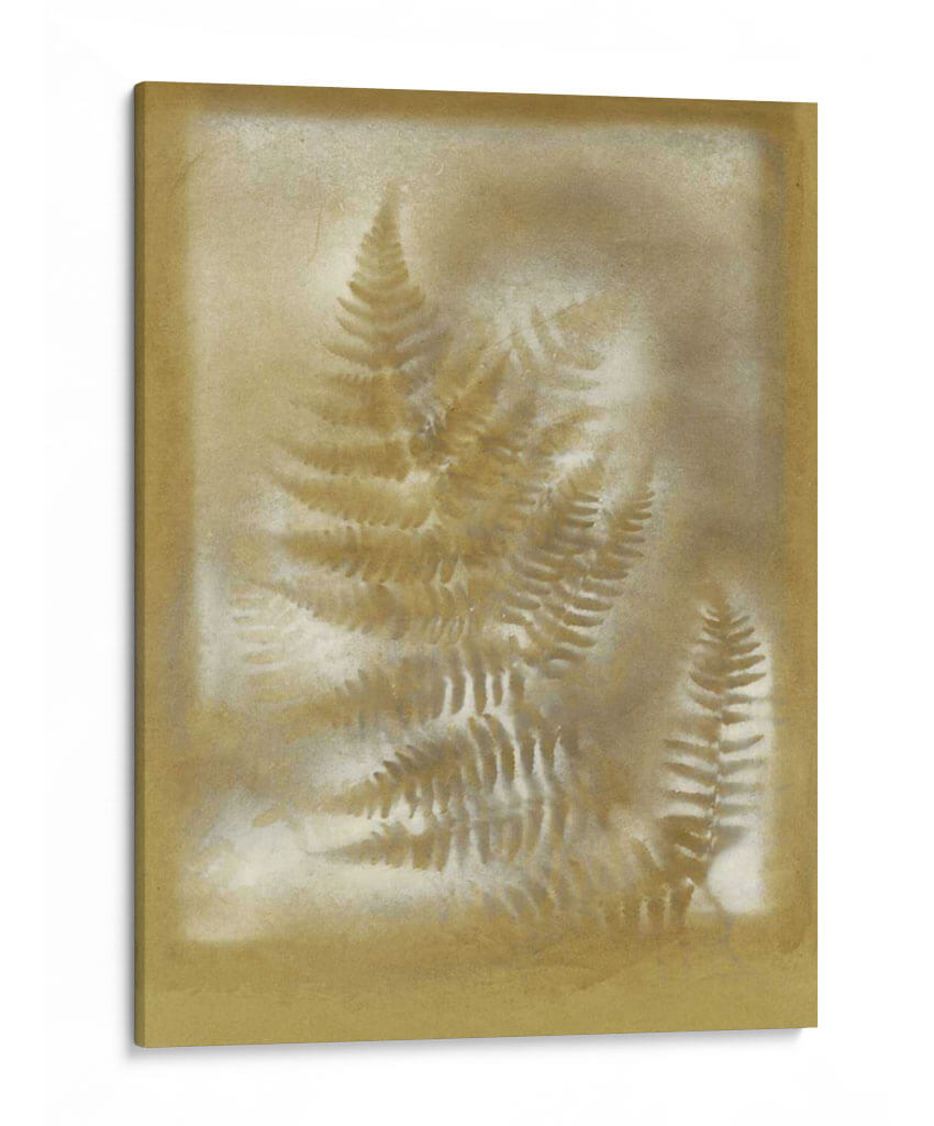 Sombras Y Helechos Iv - Renee W. Stramel | Cuadro decorativo de Canvas Lab