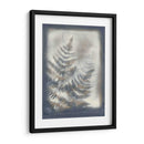 Sombras Y Helechos Vi - Renee W. Stramel | Cuadro decorativo de Canvas Lab