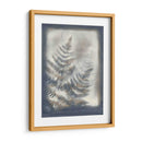 Sombras Y Helechos Vi - Renee W. Stramel | Cuadro decorativo de Canvas Lab