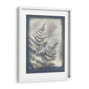Sombras Y Helechos Vi - Renee W. Stramel | Cuadro decorativo de Canvas Lab
