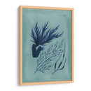 Índio Y Azure Seaweed Ii - Vision Studio | Cuadro decorativo de Canvas Lab