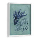 Índio Y Azure Seaweed Ii - Vision Studio | Cuadro decorativo de Canvas Lab