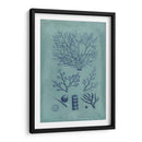 Índio Y Azure Seaweed Iii - Vision Studio | Cuadro decorativo de Canvas Lab