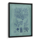 Índio Y Azure Seaweed Iii - Vision Studio | Cuadro decorativo de Canvas Lab