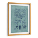 Índio Y Azure Seaweed Iii - Vision Studio | Cuadro decorativo de Canvas Lab