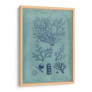 Índio Y Azure Seaweed Iii - Vision Studio | Cuadro decorativo de Canvas Lab