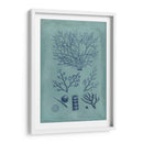 Índio Y Azure Seaweed Iii - Vision Studio | Cuadro decorativo de Canvas Lab