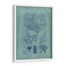Índio Y Azure Seaweed Iii - Vision Studio | Cuadro decorativo de Canvas Lab