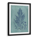 Índio Y Azure Seaweed Iv - Vision Studio | Cuadro decorativo de Canvas Lab
