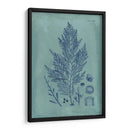 Índio Y Azure Seaweed Iv - Vision Studio | Cuadro decorativo de Canvas Lab