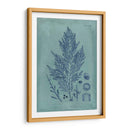 Índio Y Azure Seaweed Iv - Vision Studio | Cuadro decorativo de Canvas Lab
