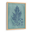 Índio Y Azure Seaweed Iv - Vision Studio | Cuadro decorativo de Canvas Lab