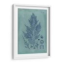 Índio Y Azure Seaweed Iv - Vision Studio | Cuadro decorativo de Canvas Lab
