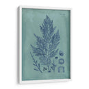 Índio Y Azure Seaweed Iv - Vision Studio | Cuadro decorativo de Canvas Lab
