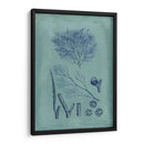 Índio Y Azure Seaweed Vi - Vision Studio | Cuadro decorativo de Canvas Lab