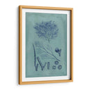Índio Y Azure Seaweed Vi - Vision Studio | Cuadro decorativo de Canvas Lab